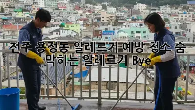 전주 용정동 알레르기 예방 청소🧹: 숨 막히는 알레르기 Bye!