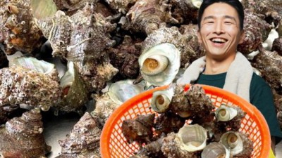 제주 가파도 뿔소라: 싱싱함이 가득한 맛의 비밀!